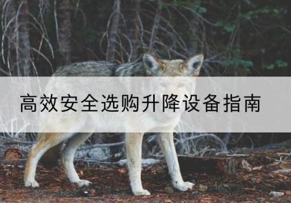 额敏升降货梯厂家推荐-*安全选购升降设备指南