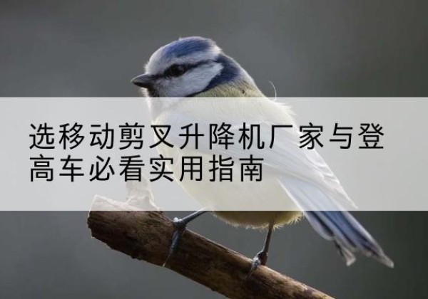 额敏电动升降机厂家-选移动剪叉升降机厂家与登高车必看实用指南