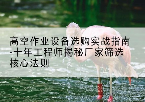 额敏剪叉式升降机厂家-高空作业设备选购实战指南-十年工程师揭秘厂家筛选核心法则